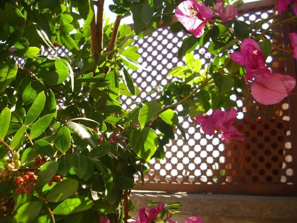 Casa Rural Tamaide Guest House San Miguel De Abona Spain