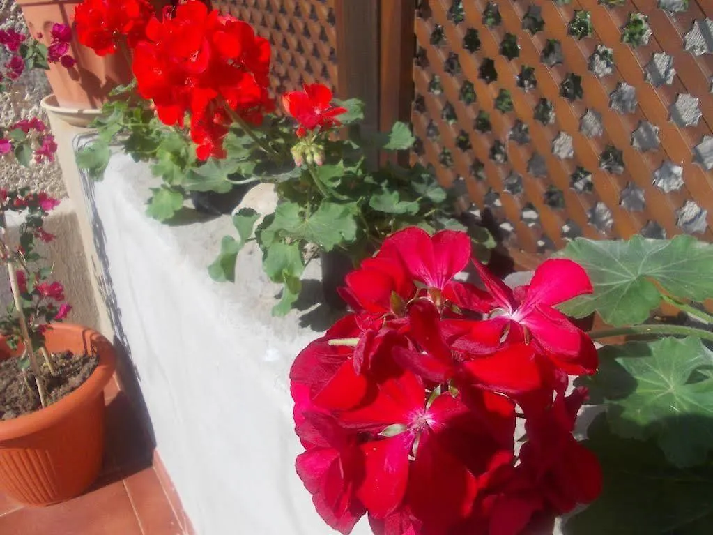 Casa Rural Tamaide Guest House San Miguel De Abona Country house